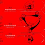 fb_img_1732433454721