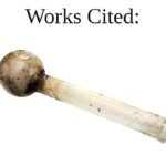 fb_img_1734895613077