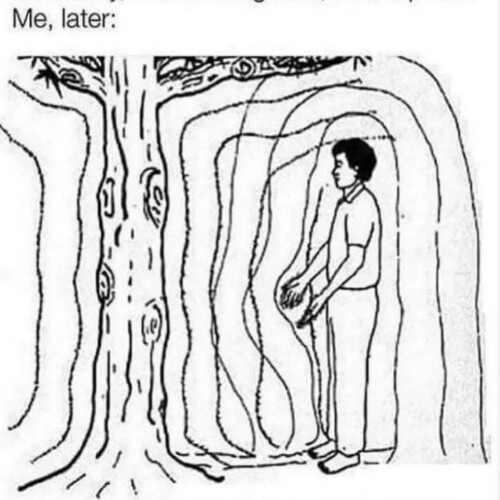 fb_img_1746016216389