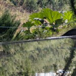 pxl_20250810_141728699