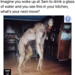 fb_img_1733649044820