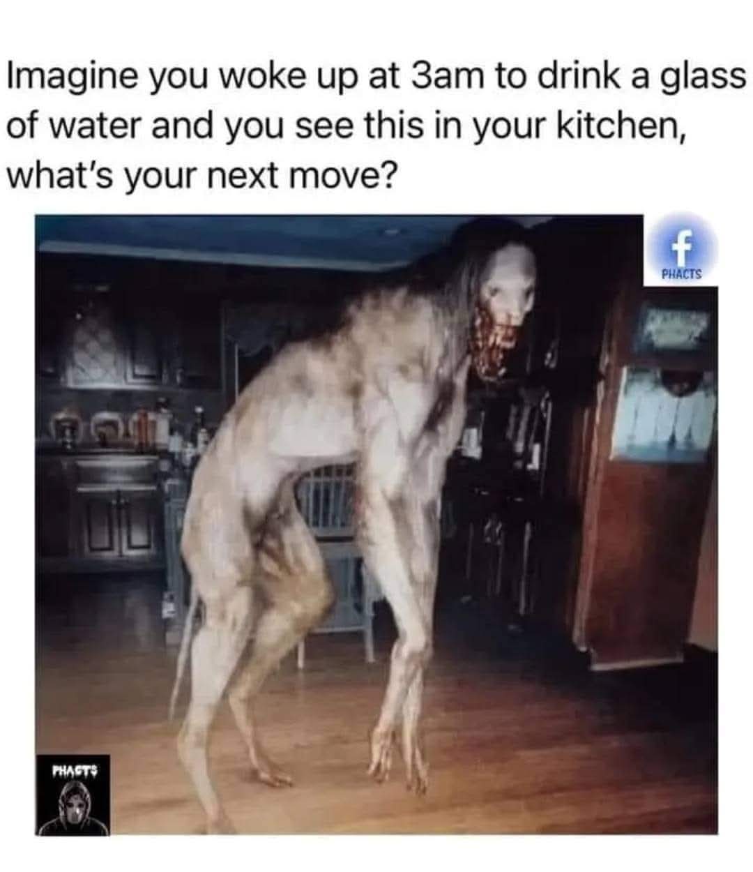 FB_IMG_1733649044820
